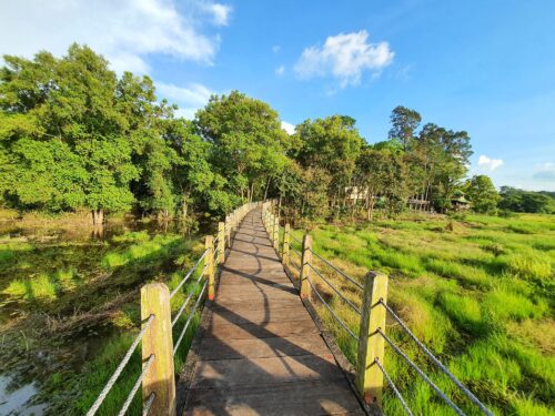 Cuoi Tuan Ve Rung Cung Pha Dao Vuon Quoc Gia Nam Cat Tien