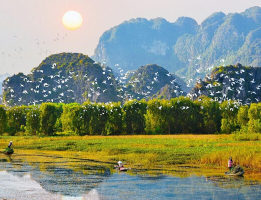 Vuon Quoc Gia Nam Cat Tien 3