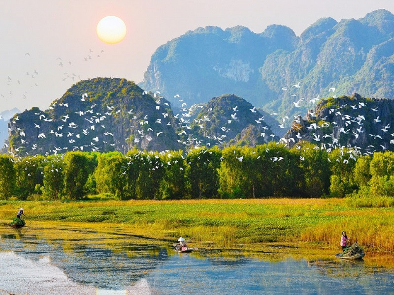 Vuon Quoc Gia Nam Cat Tien 3