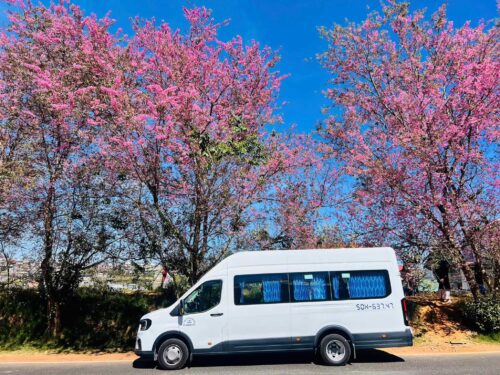 Dịch vụ Thuê Xe 18 Chỗ Chạy Hợp Đồng Tại Thuexehuydat.com có Đa dạng loại xe và mức giá